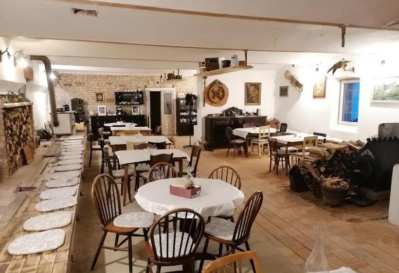 پانسیون Statek 100dola