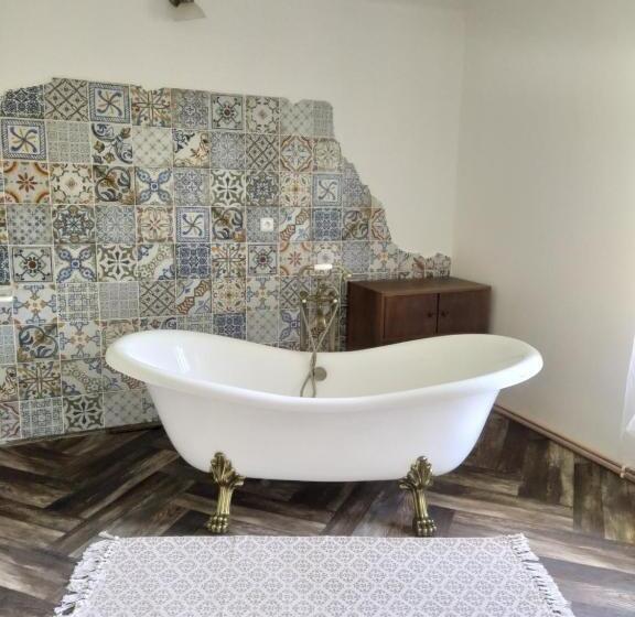 پانسیون Statek 100dola