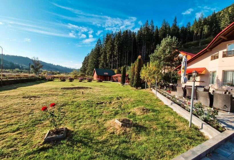 膳宿费 Complex Caprioara Toplita