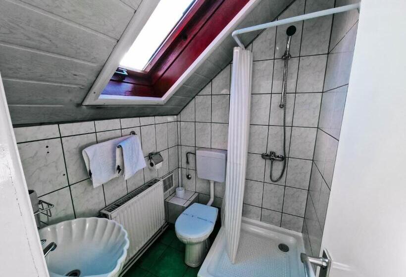 膳宿费 Complex Caprioara Toplita