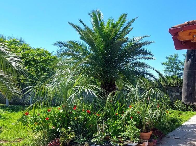 پانسیون Eco Village Tskaltubo