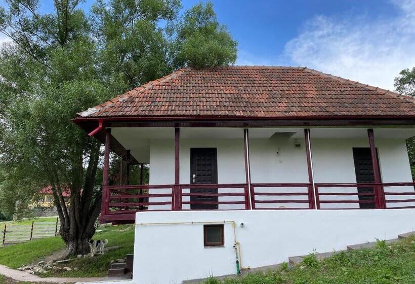 پانسیون Casa De Sub Salcie