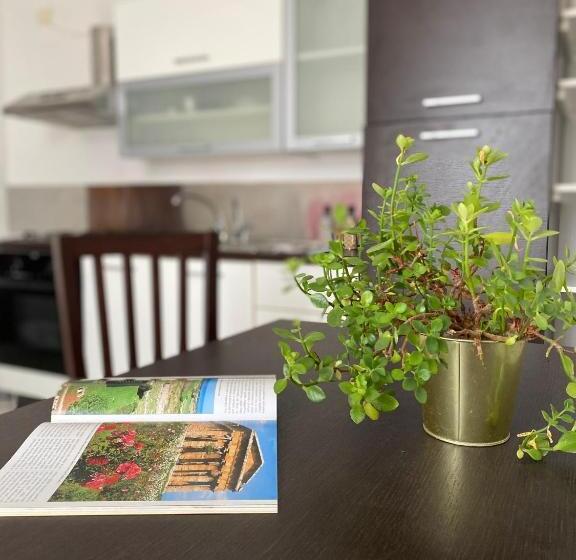 ベッドアンドブレックファースト Blu Cilento