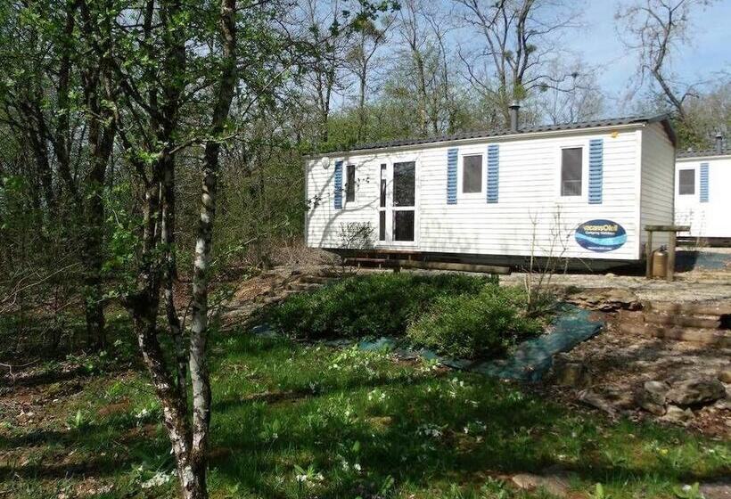 酒店 Camping De La Croix D'arles