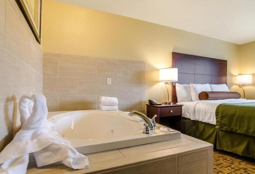 فندق Cobblestone Inn & Suites  Oberlin