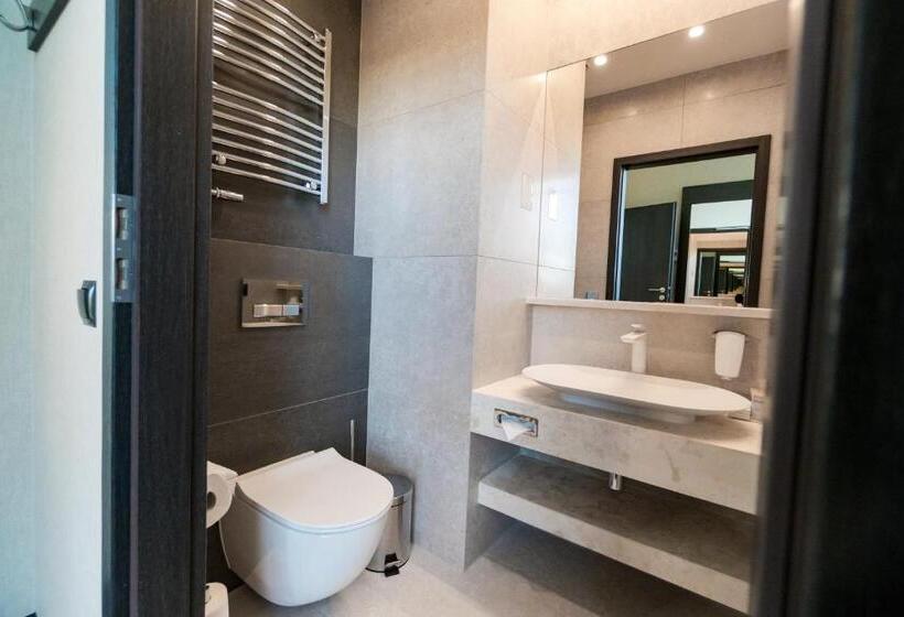 酒店 Holiday Inn Dąbrowa Górnicza Katowice, An Ihg