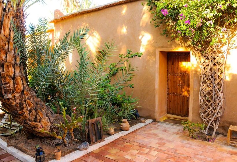 بنسيون Dar Sofar