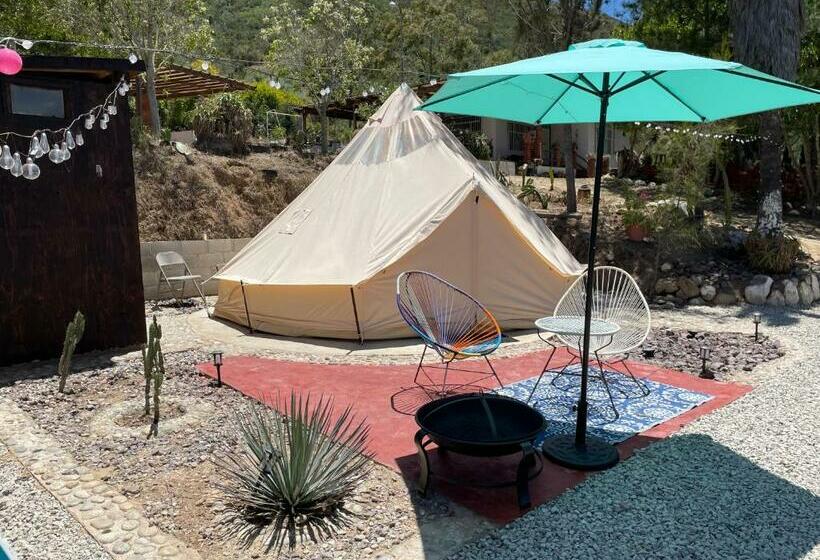فنادق الكبسولة Indigo Glamping