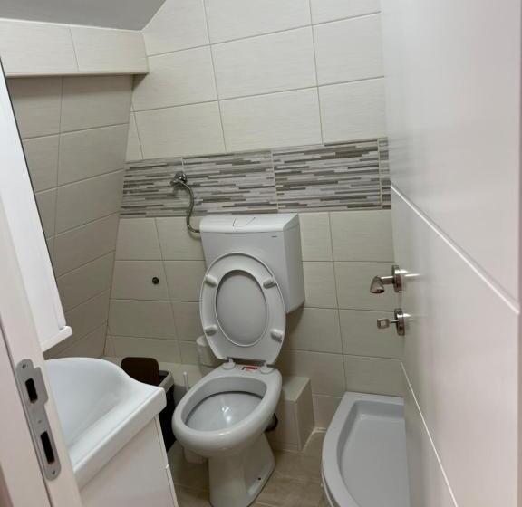 پانسیون Big House