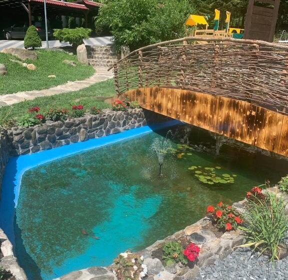 פנסיון Lacul De Argint