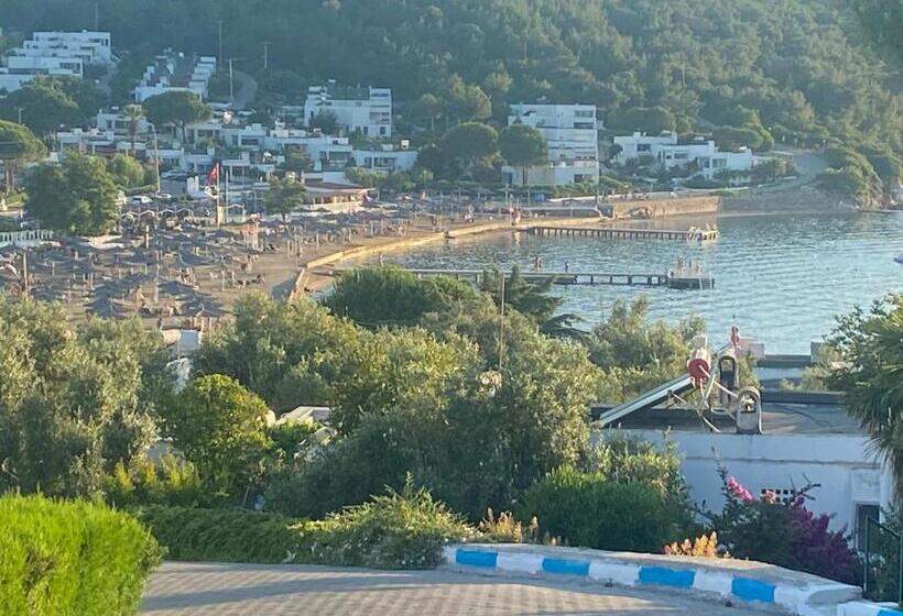 ペンション Artur Holiday City   Double Room