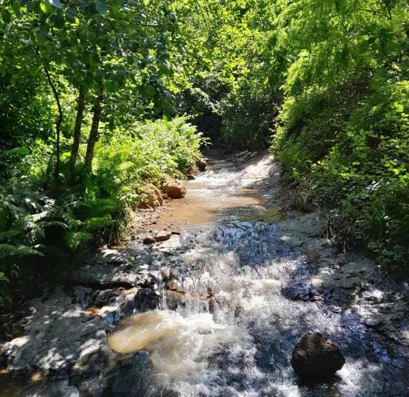 بنسيون Newsuit2023