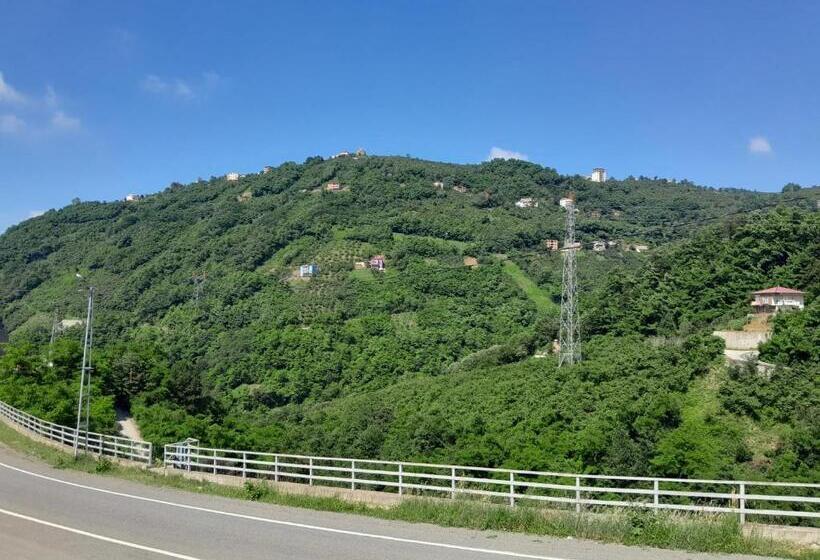 بنسيون Newsuit2023