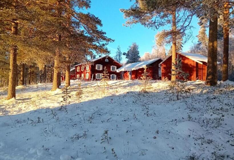 هاستل Midgård