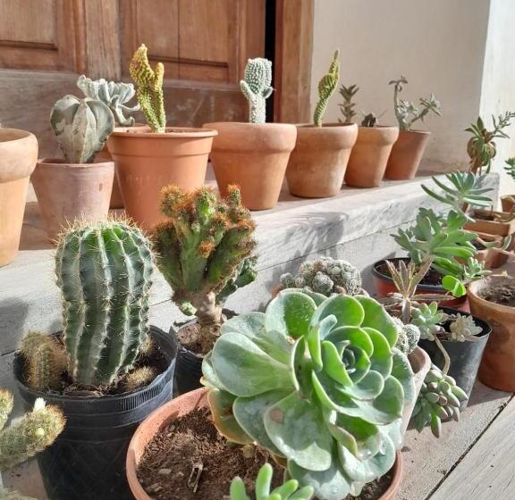 تختخواب و صبحانه Terra   Casa De Campo