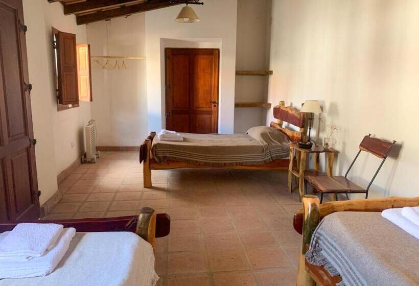 تختخواب و صبحانه Terra   Casa De Campo