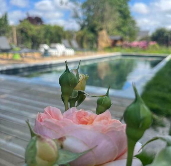 Bed and Breakfast La_grande_guerais
