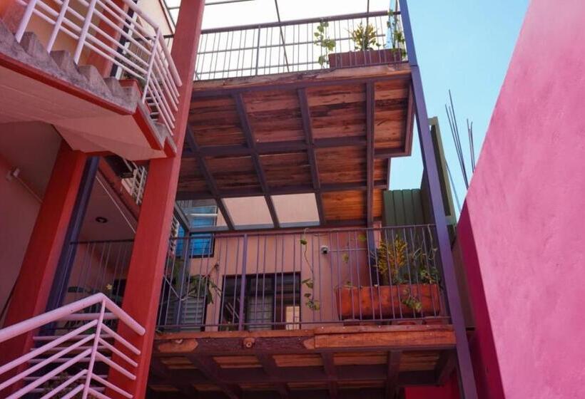 پانسیون Hostal Chocolate Calenda