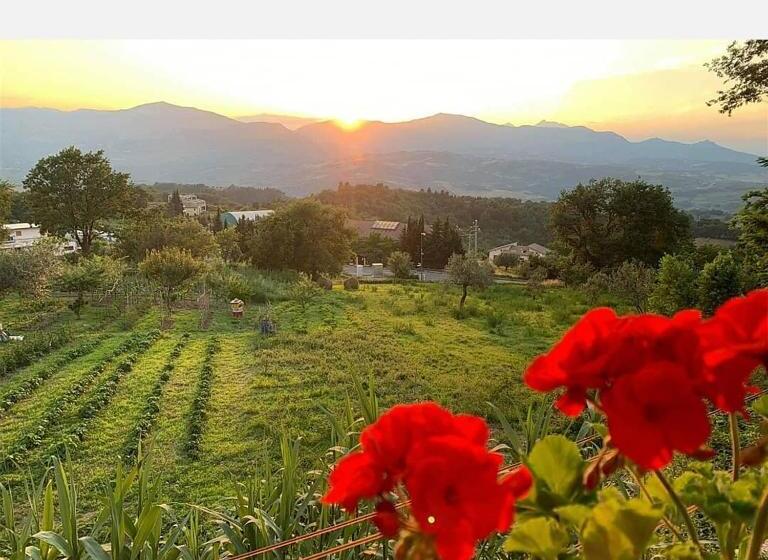 بنسيون Affittacamere Porta Majella