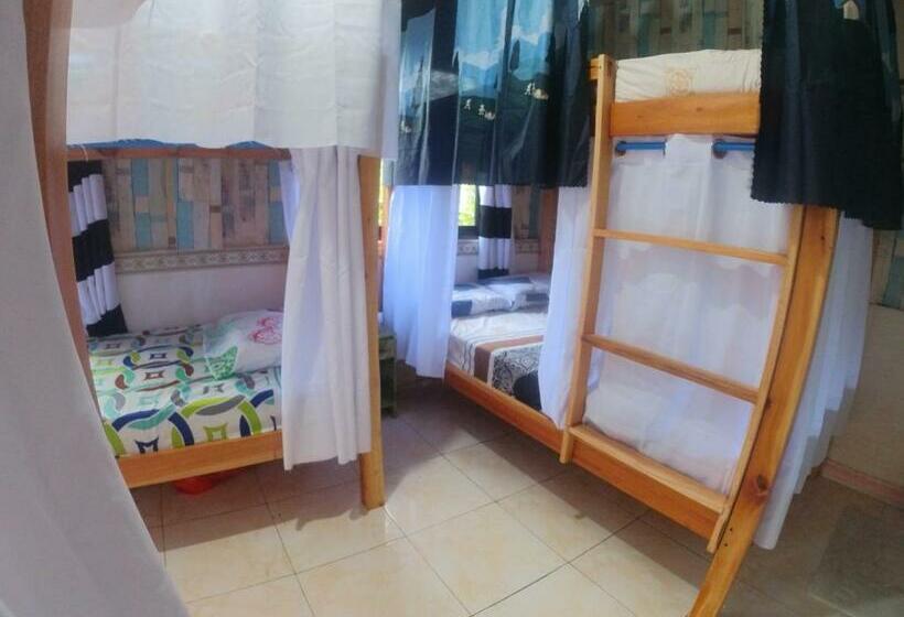هاستل Home Sweetie Homestay & Bunkbeds