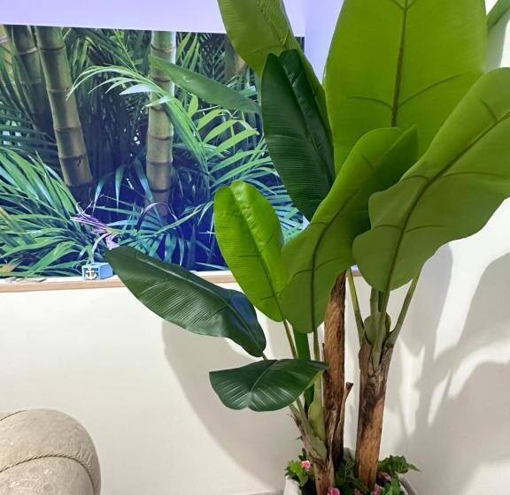 مبيت وإفطار Dolce Notte