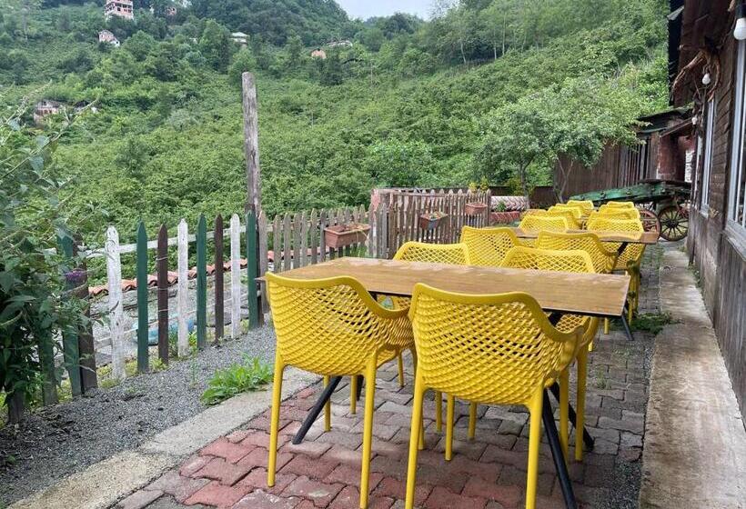 Bed and Breakfast Aho Dağ Manzaralı Oda