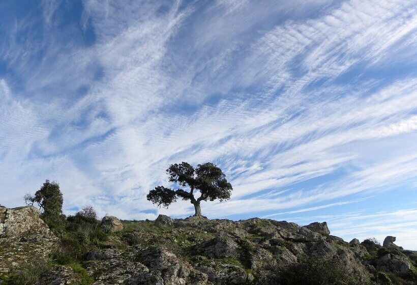 مبيت وإفطار Pessighette Dimora Di Campagna