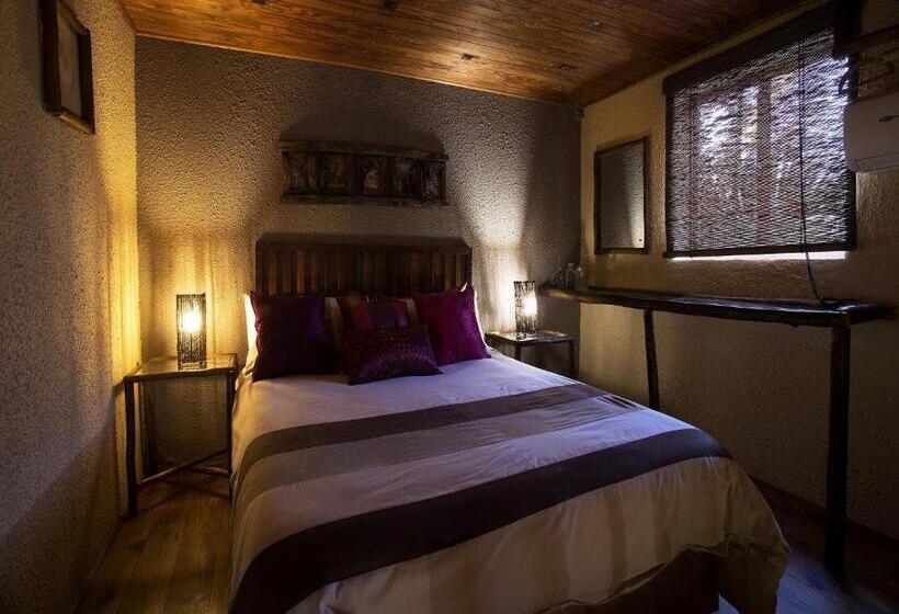 Bed and Breakfast A Traveller's Palm