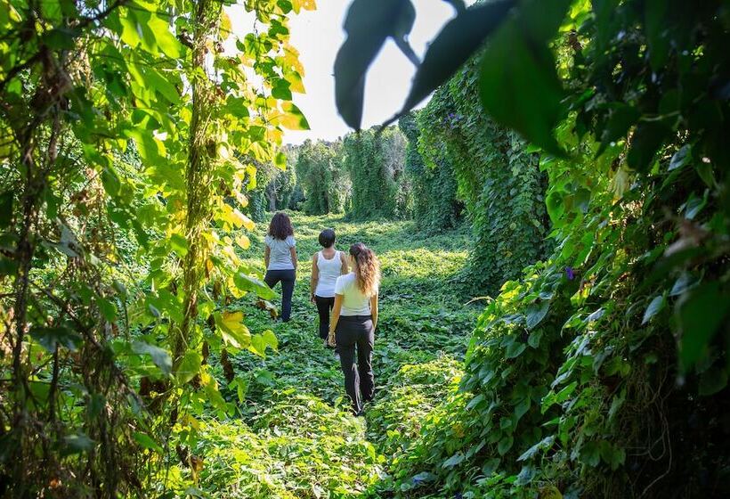 مبيت وإفطار Masseria Fano Relais & Wine