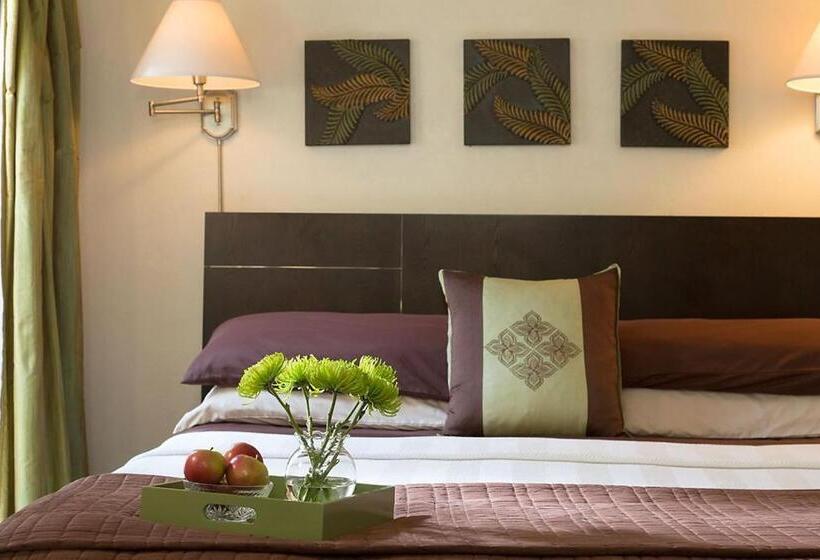 Casa De Suenos B & B