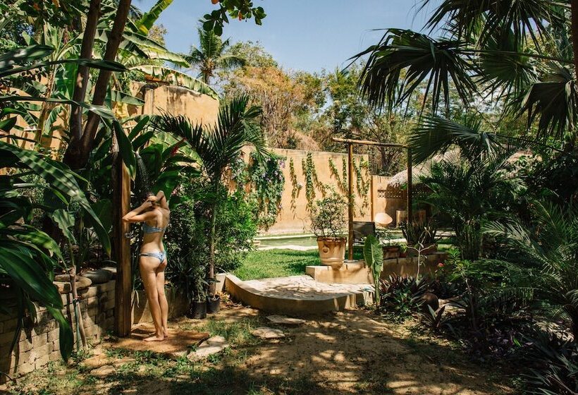 فندق صغير Tabachin Del Puerto