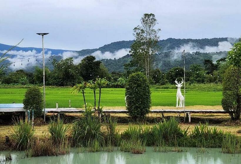 Отель ภูอิงนาคาเฟ่&รีสอร์ท