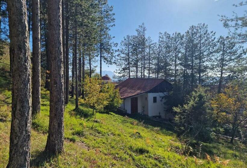 旅馆 Bujtinat Skenderi Gjinar