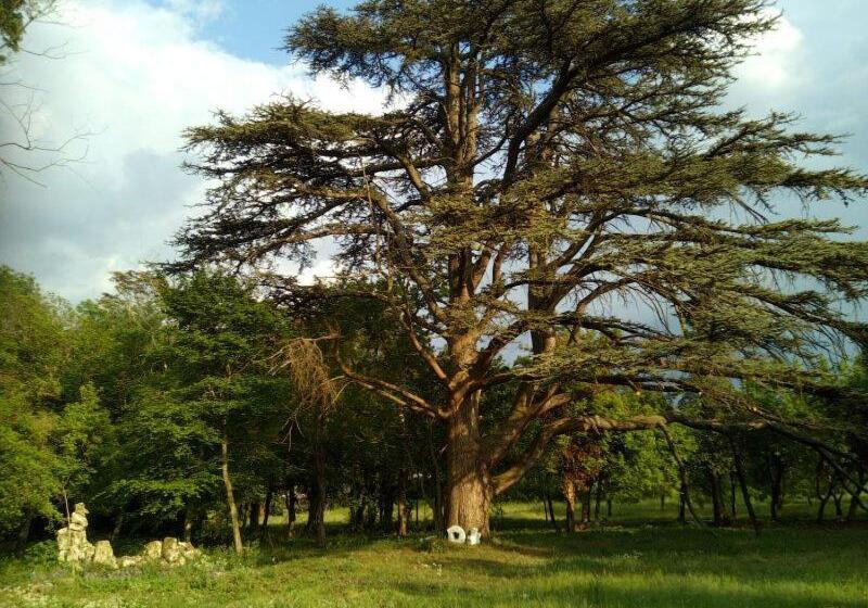 住宿加早餐  Domaine Des Chabriers