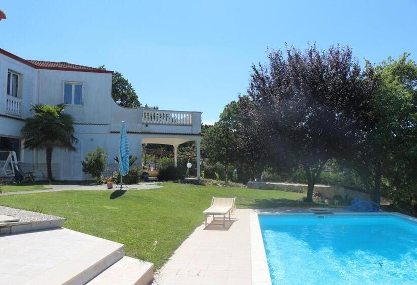 B&b Belvedere