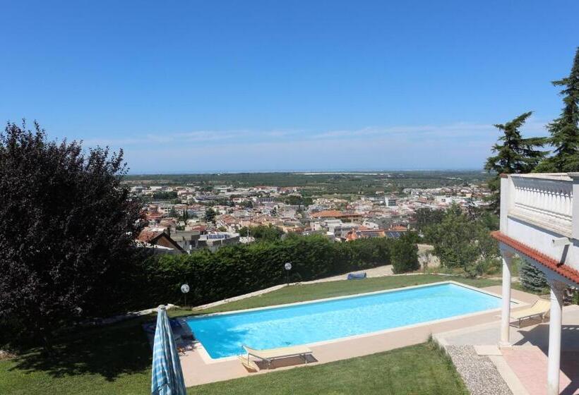 B&b Belvedere