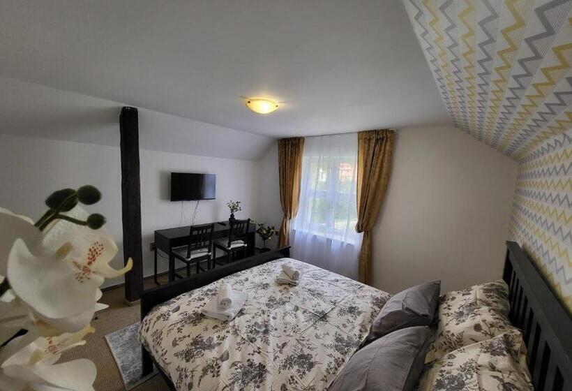 호텔 Vládní Vila