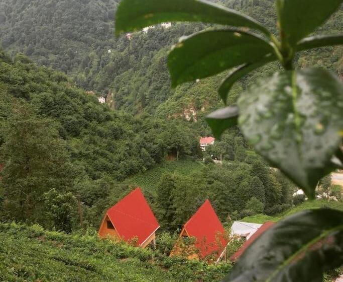 Begi Apart Bungalows Hotel   çamlıhemşin