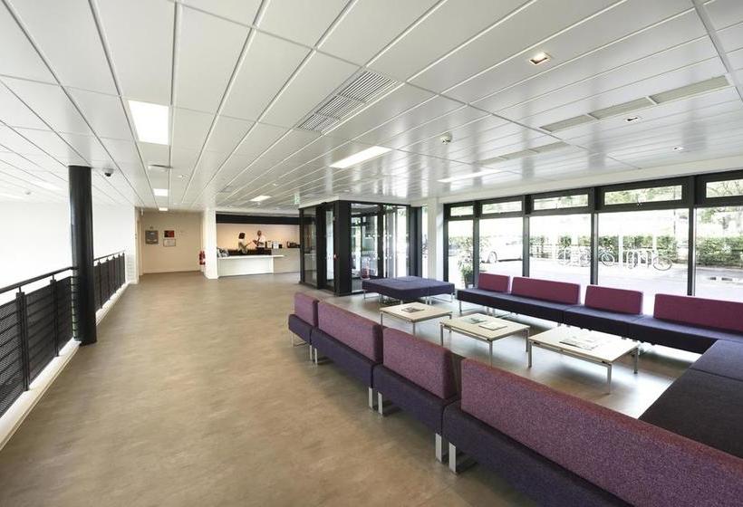 فندق صغير Juniper Court