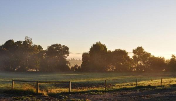 Bed and Breakfast Tallawarra Homestead