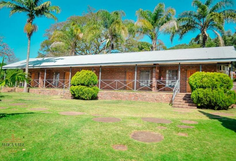 ホテル Avoca Vale Country