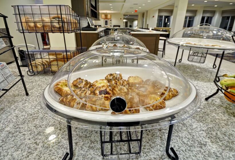 בית מלון כפרי Hilton Garden Inn Detroit Troy