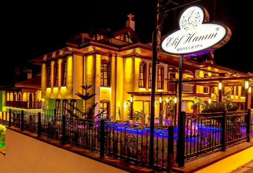 Отель Elif Hanim & Spa