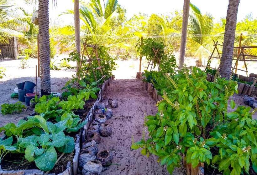مبيت وإفطار Castelo Vendom Ecolodge Parajuru