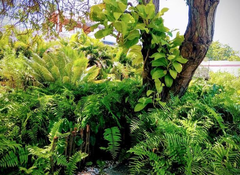 مبيت وإفطار Castelo Vendom Ecolodge Parajuru