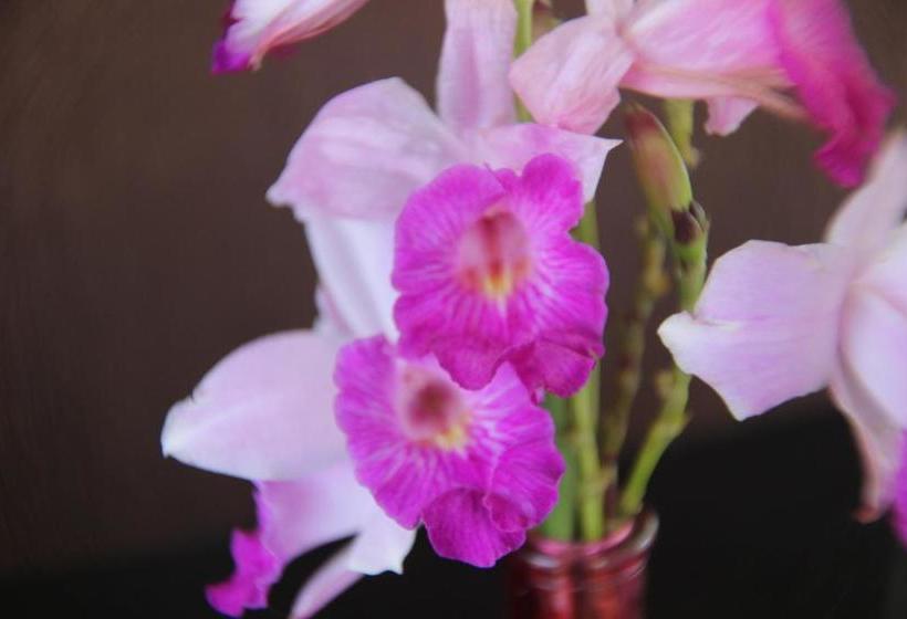 ホテル Splendore