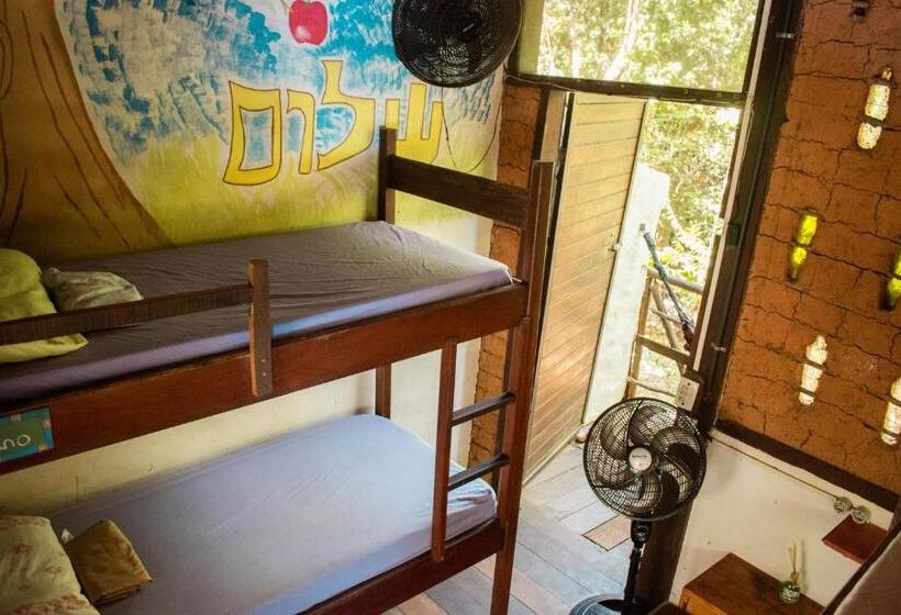 Lagarto Na Banana Hostel