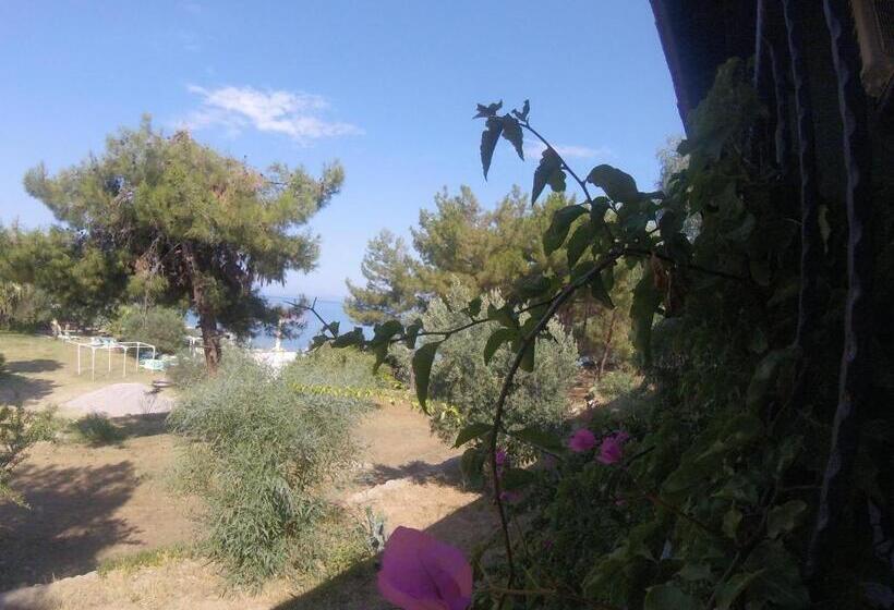 ホテル Rainbow Bay Ozdere Beach