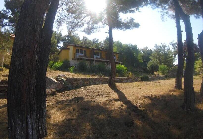 ホテル Rainbow Bay Ozdere Beach