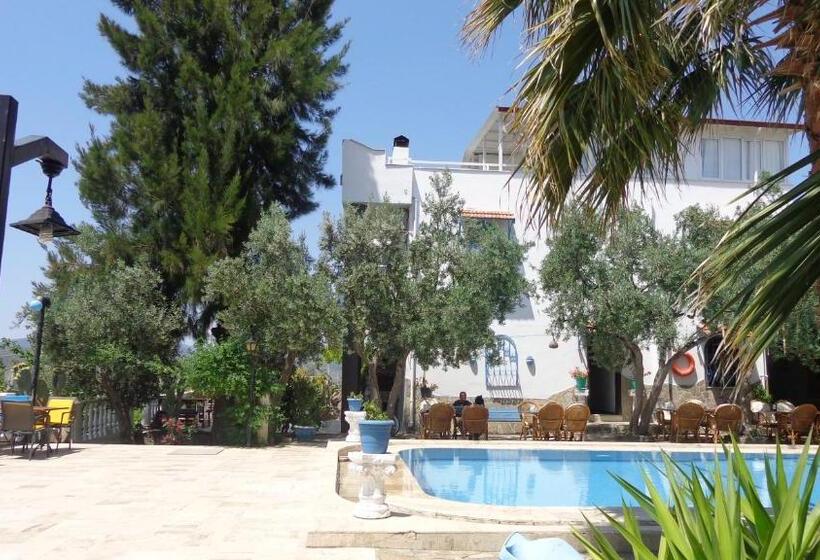 هتل Villa Panorama